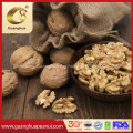 Hot Sale New Crop Good Quality Walnut Kernels Extra White Bulk Price